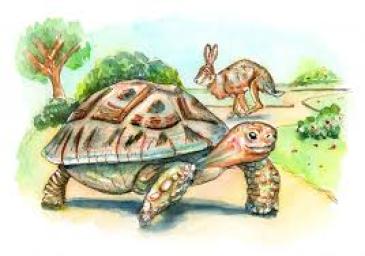 The turtle and the Rabbit